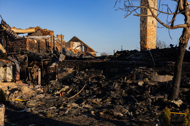 Reliable Emergency Fire Damage Restoration contractor in Manassas, VA by Fire Damage Flint